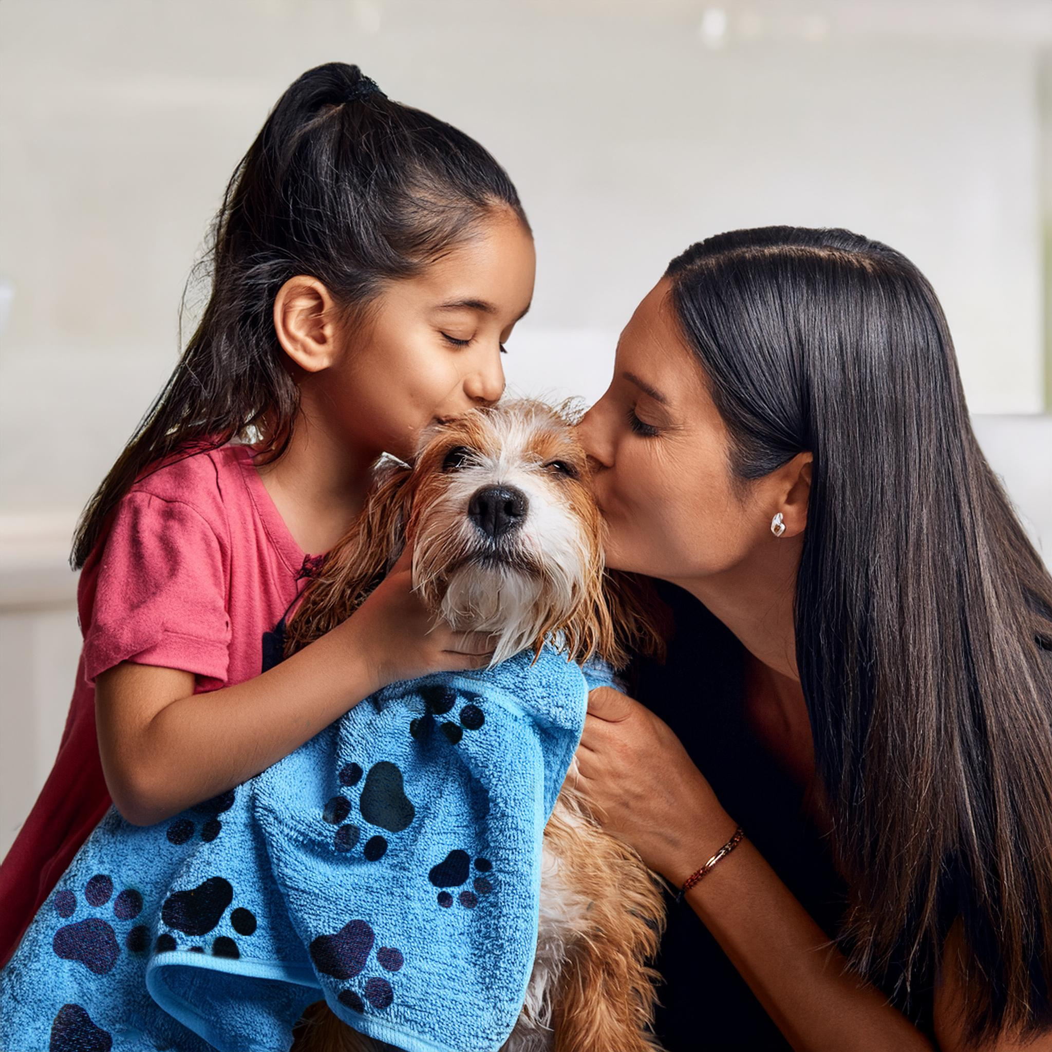 7 Usos del paño de microfibra para mascotas que harán tu limpieza más fácil