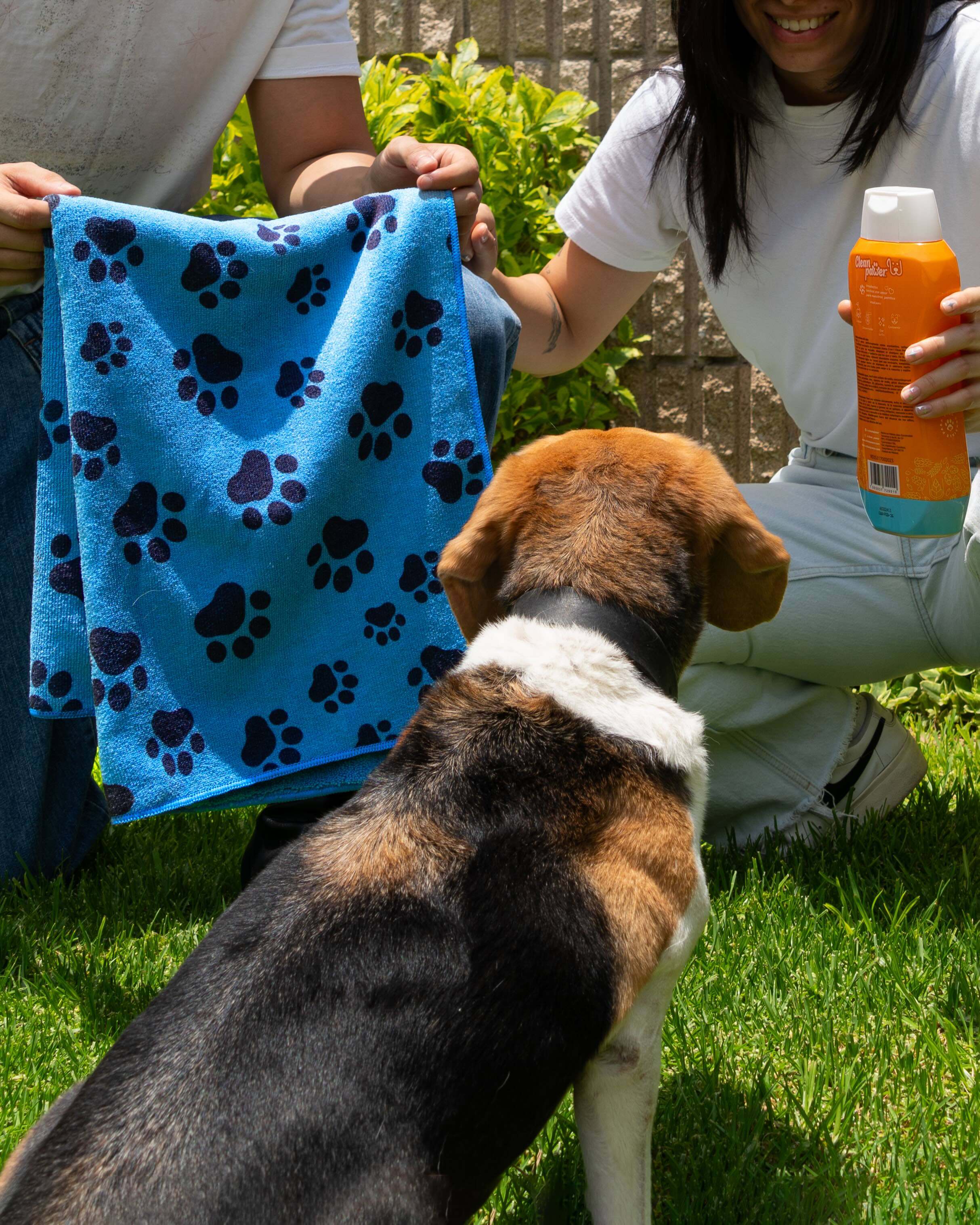 Perfuma y cuida a tus mascotas con la toalla de microfibra